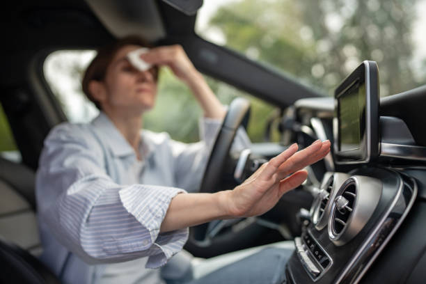 Best Central Air Repair  in Schoolcraft, MI
